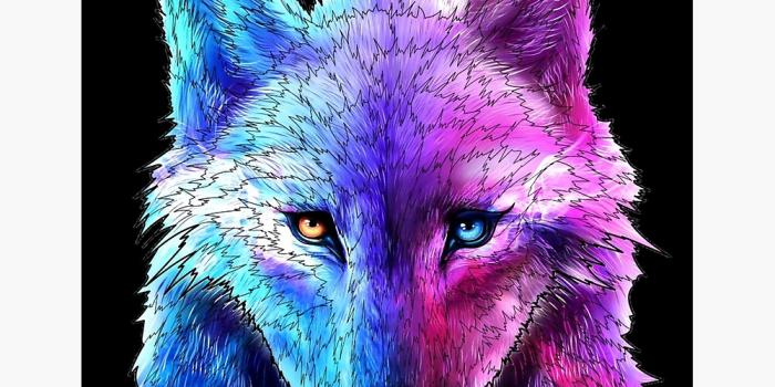 1000x1000 Neon wolf