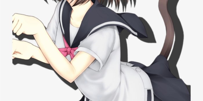 820x1360 Neko Girl Wallpaper Iphone Transparent PNG - 720x1280 - Free Download on  NicePNG