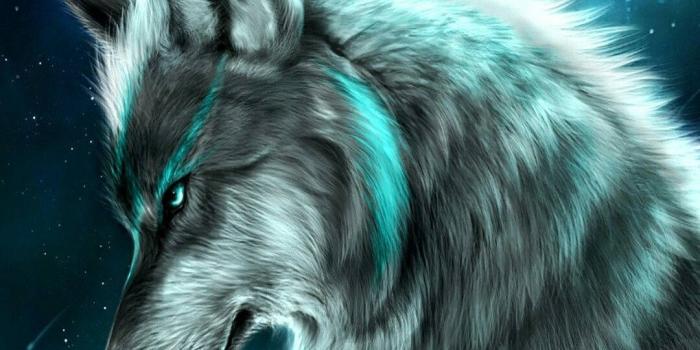 1080x1920 Download Neon Green Galaxy Wolf Wallpaper | Wallpapers.com