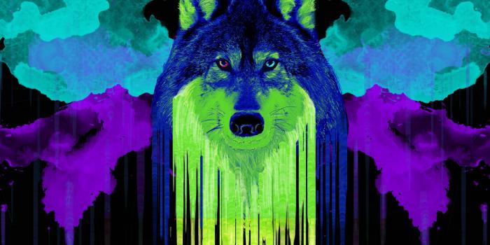 2560x2560 Wolf Wallpaper 4K, Artwork, Neon, Black background
