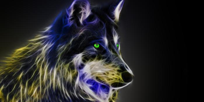 1920x1200 Free download Cool Wolf Wallpaper Light Fractal wolfby michalius89  [1920x1200] for your Desktop, Mobile & Tablet | Explore 49+ Cool Pictures  of Wolves Wallpapers | Pictures Of Cool Wallpapers, Pictures Of Cool