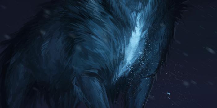 2160x3840 2160x3840 Wolf Drawing Sony Xperia X,XZ,Z5 Premium HD 4k Wallpapers,  Images, Backgrounds, Photos and Pictures