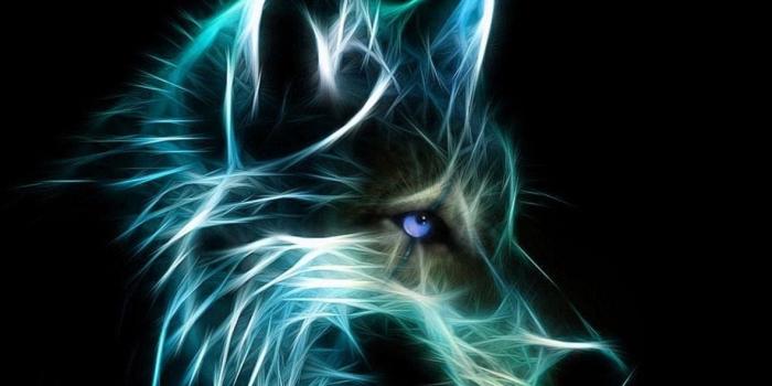 1182x945 Wolf Head Neon #19 - Wolf Art NFTs | OpenSea