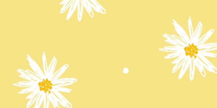 750x1334 Download Cute Pastel Yellow Daisy Flower Wallpaper | Wallpapers.com