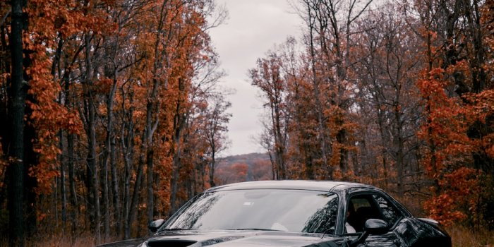 1000x1567 Dodge Demon Pictures | Download Free Images on Unsplash