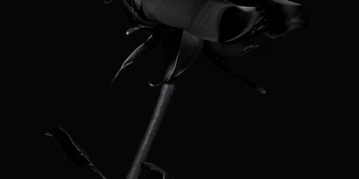 1000x1499 750+ Iphone Dark Pictures | Download Free Images on Unsplash