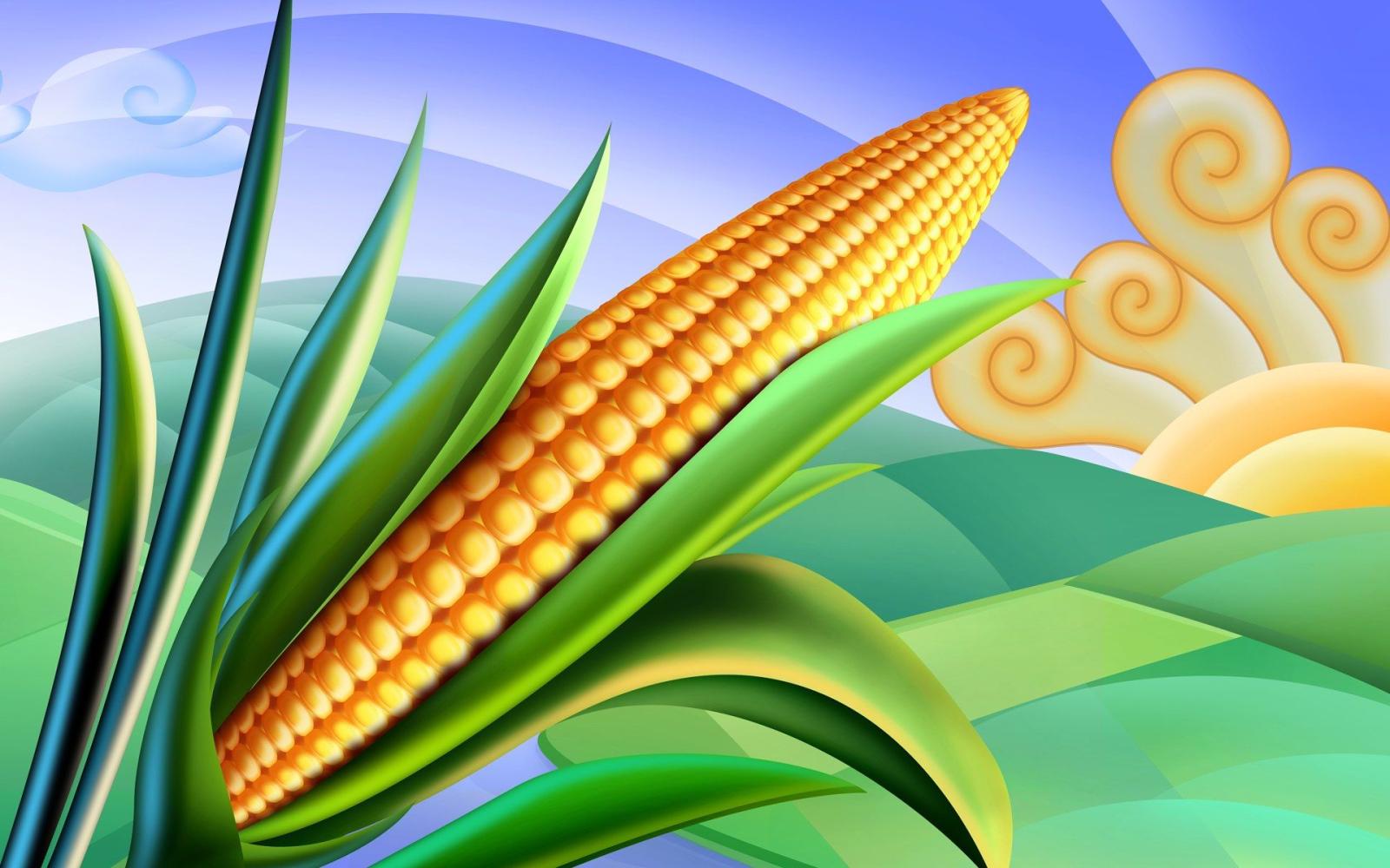 1920x1200 PSD Food illustrations 3193 corn clipart corn picture Wallpapers - HD  Wallpapers 74418 | Food illustrations, Diy preschool, Corn festival