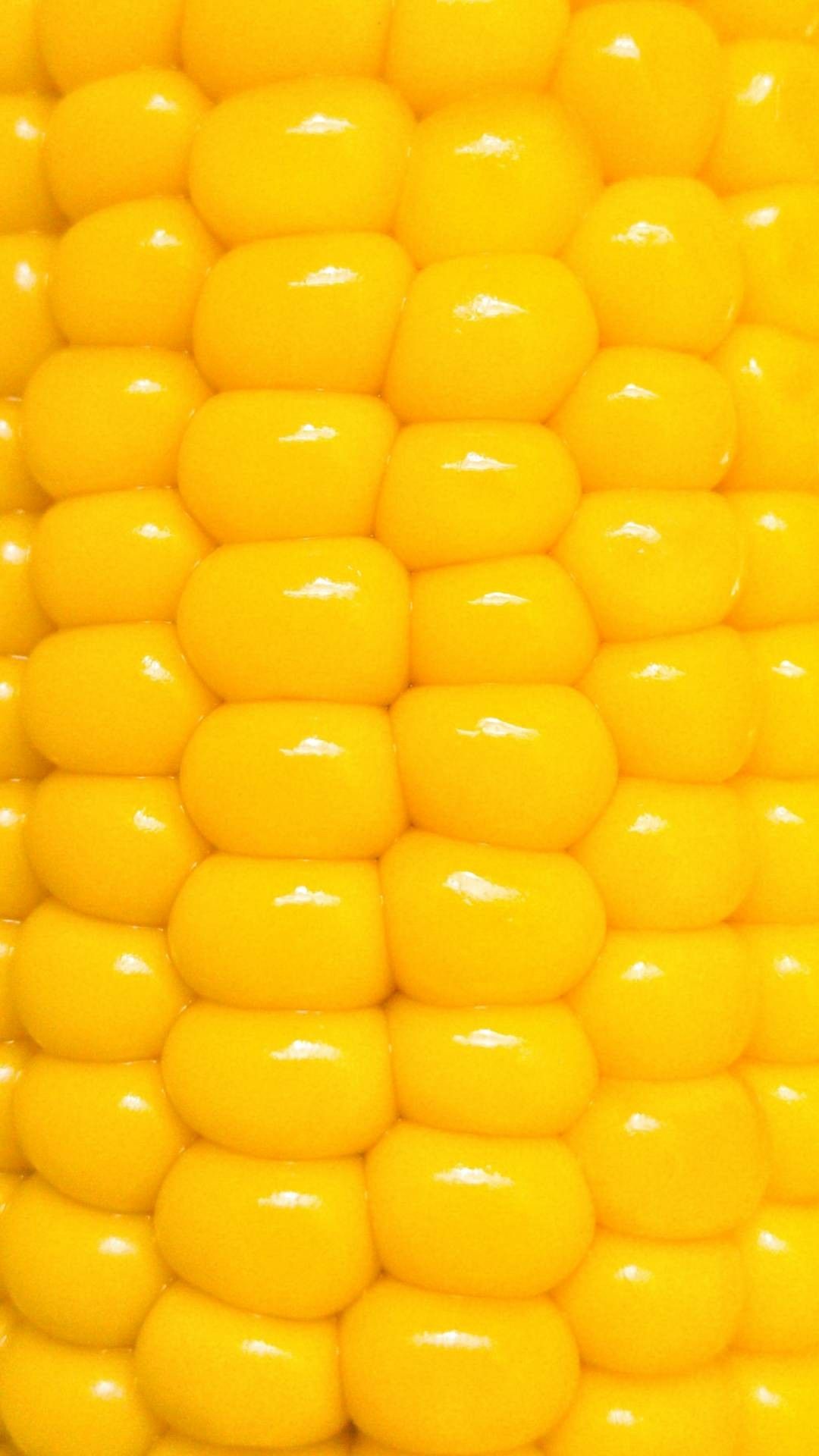 1080x1920 A close up of corn on the cob wallpaper | Yellow aesthetic pastel, Yellow  aesthetic, Yellow wallpaper