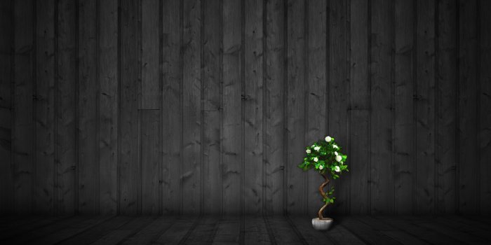 2560x1600 Free download Dark Theme Wallpapers Top Free Dark Theme Backgrounds  [2560x1600] for your Desktop, Mobile & Tablet | Explore 52+ Darker Wallpaper  | Darker Than Black Wallpapers, Darker Than Black Wallpaper, Darker