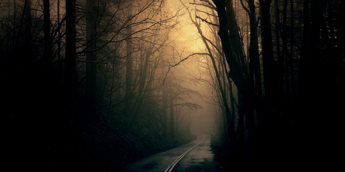 1920x1200 Free download Theme Bin187 Blog Archive 187 Dark Forest Road HD Wallpaper  [1920x1200] for your Desktop, Mobile & Tablet | Explore 72+ Dark Hd  Wallpapers | Hd Wallpaper Dark, Dark Hd Wallpaper, Dark Wallpaper Hd