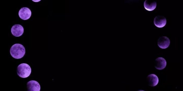719x1280 Aesthetic purple and black Wallpapers Download | MobCup