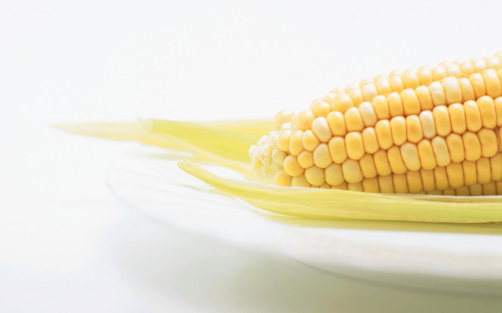 1920x1200 40+ Corn HD Wallpapers and Backgrounds