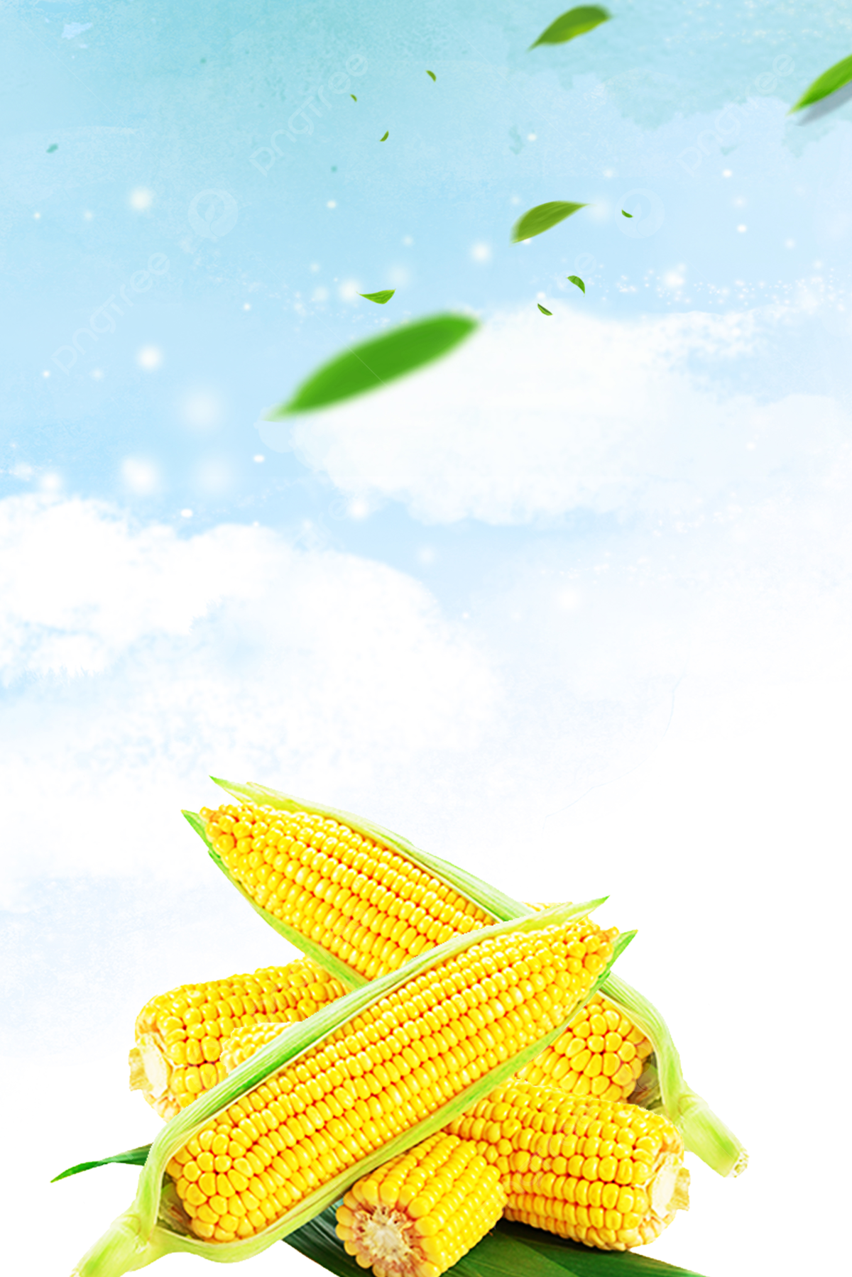 1200x1799 Yellow Corn Background Images, HD Pictures and Wallpaper For Free Download  | Pngtree