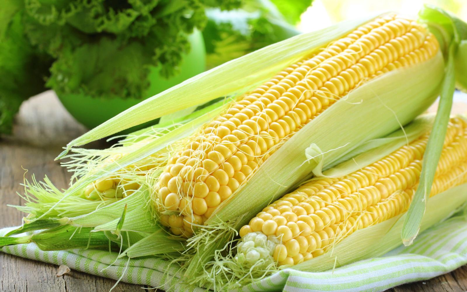 3840x2400 Free Images : corn on the cob, green, corn kernels, natural foods, sweet  corn, ingredient, plant, cuisine, produce, superfood, fashion accessory,  event, pattern, leaf vegetable, local food, grass, vegan nutrition,  personal protective