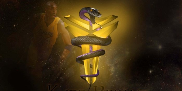 1920x1200 Download Unforgettable Gaze Of The Black Mamba Wallpaper | Wallpapers.com