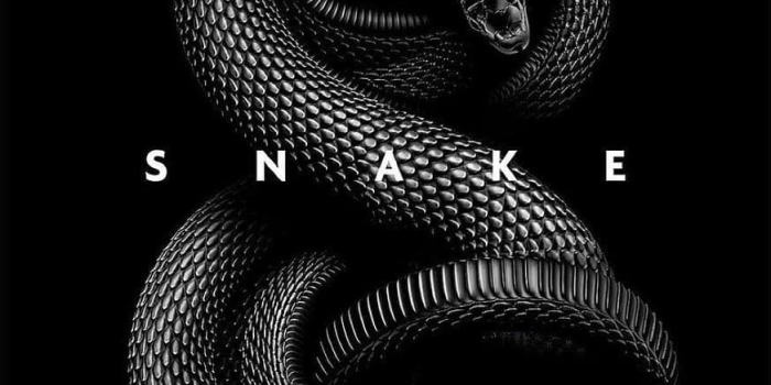 873x921 Blvck.immerse en Instagram: “Black mamba. Credits to: @blxck.cross . #black  #blvck #blxck #bl4ck #… | Nhật ký nghệ thuật, Nghệ thuật flash, Ảnh tường  cho điện thoại