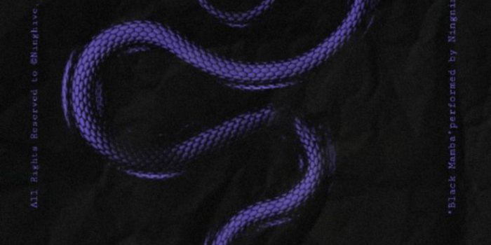736x1596 Aespa Black Mamba Wallpapers