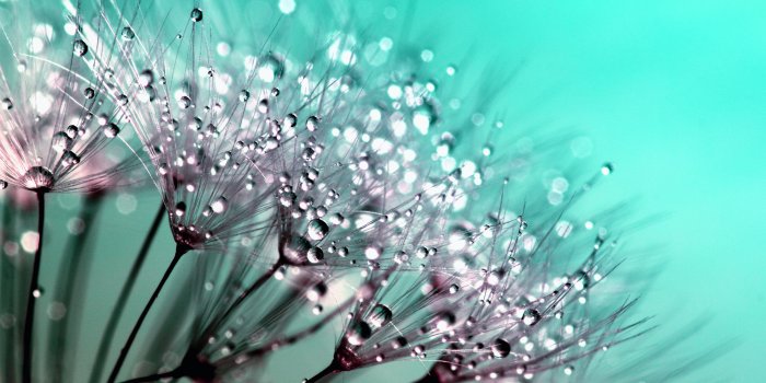 4770x2995 Macro Photos, Download The BEST Free Macro Stock Photos & HD Images