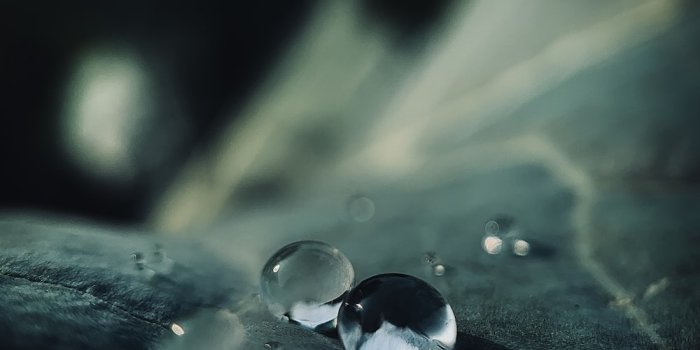 1000x995 50,000+ Macro Photography Pictures | Download Free Images on Unsplash