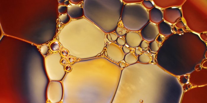 5184x3456 Macro Photos, Download The BEST Free Macro Stock Photos & HD Images