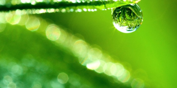 1280x1280 Water Drop Reflection, Macro Ultra HD Desktop Background Wallpaper for 4K  UHD TV : Multi Display, Dual Monitor : Tablet : Smartphone
