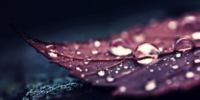 3840x2160 Aggregate 78+ macro wallpaper super hot - 3tdesign.edu.vn