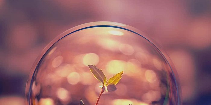 1080x1920 100+] Nature Android Hd Wallpapers | Wallpapers.com