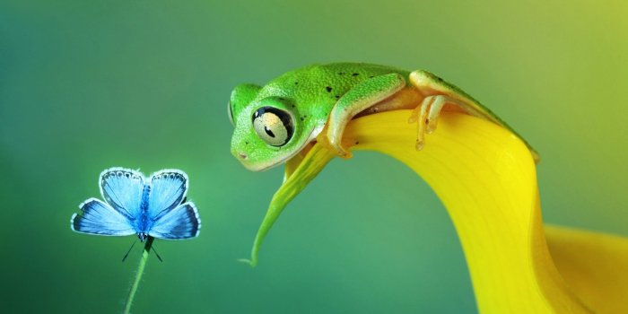 1920x1200 Free download 550 Watch Wallpaper Pictures Download Free Images on  [1000x667] for your Desktop, Mobile & Tablet | Explore 26+ HD Macro  Wallpapers | HD Wallpapers, HD Wallpaper, HD Wallpaper HD Pic