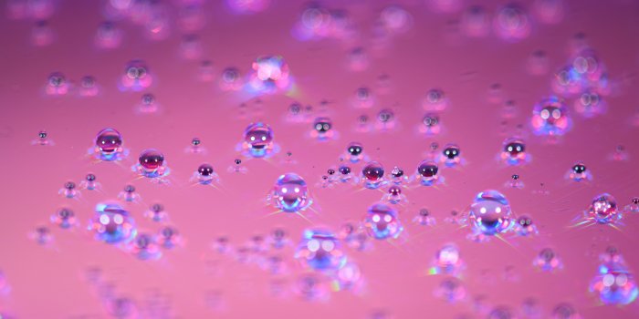 2048x1365 Recommended Equipment for Macro Photography