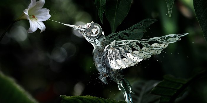 1920x1080 Mechanical Bird, HD Creative, 4k Wallpapers, Images, Backgrounds, Photos  and Pictures