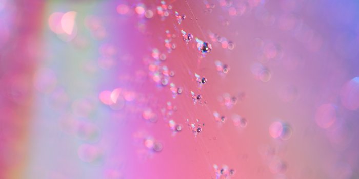 2048x1365 Macro Photography Ideas to Try at Home