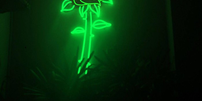 1440x1920 100+] Neon Green Aesthetic Wallpapers | Wallpapers.com