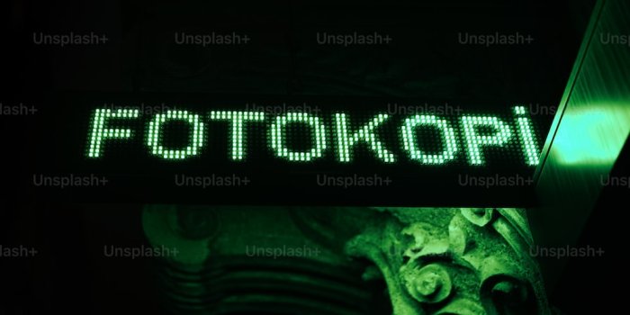 1000x1500 Green Neon Pictures [HD] | Download Free Images on Unsplash