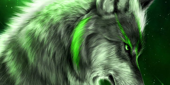 1080x1920 Download Anime Wolf Neon Green Wallpaper | Wallpapers.com