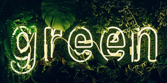 5120x2880 Green Wallpaper 4K, Neon sign, Plant, Illuminated