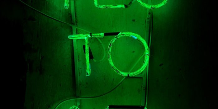 1000x1333 Green Neon Pictures [HD] | Download Free Images on Unsplash