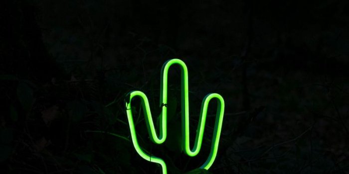 800x1200 Download wallpaper 800x1200 cactus, neon, dark, green iphone 4s/4 for  parallax hd background