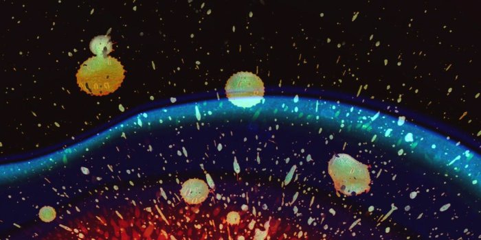 1024x1640 I love this wallpaper, it's simple and beautiful. : r/radiohead