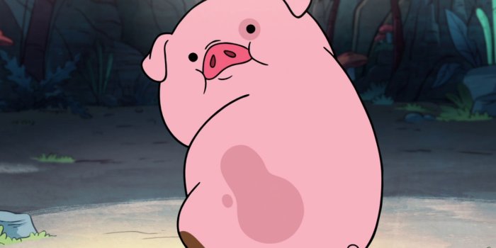 1280x1024 Cute Funny Piggy Ultra HD Desktop Background Wallpaper for 4K UHD TV :  Widescreen & UltraWide Desktop & Laptop : Tablet : Smartphone