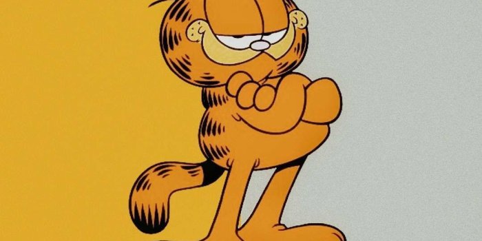 1080x1920 100+] Garfield Wallpapers | Wallpapers.com