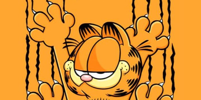 720x1440 Garfield Wallpaper - iXpap | Garfield wallpaper, Printable art designs,  Garfield cartoon