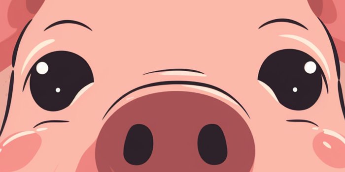 1183x2560 Funny Pig Pink Wallpapers - Wallpapers Clan