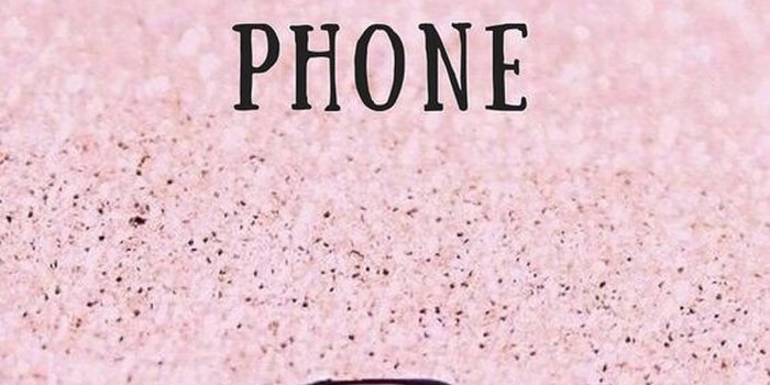 1081x1920 Download Cute Pig Don't Touch My Phone Wallpaper | Wallpapers.com