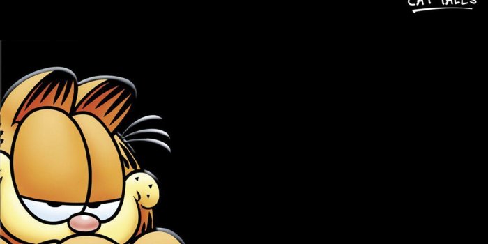 1280x960 Garfield Desktop Wallpapers