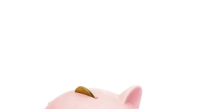 800x1400 Pig Wallpaper Images | Free Photos, PNG Stickers, Wallpapers & Backgrounds  - rawpixel