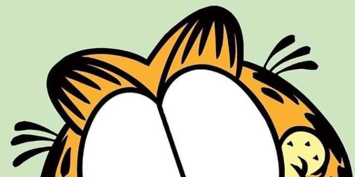 736x1592 Garfield Wallpaper Garfield Wallpaper with the keywords Cartoon, Cat, cool,  cute, Garfield. https://www.i… | Garfield wallpaper, Cartoon wallpaper,  Cartoon drawings