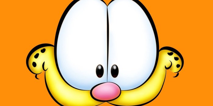 1920x1201 Download Orange Garfield Cartoon Face Wallpaper | Wallpapers.com