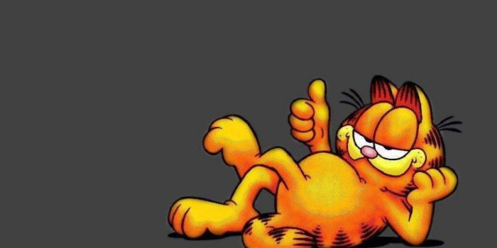1440x1080 10+ Garfield HD Wallpapers and Backgrounds