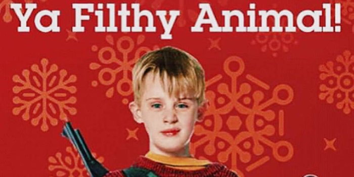 850x1111 Download Home Alone Gangster Line Wallpaper | Wallpapers.com