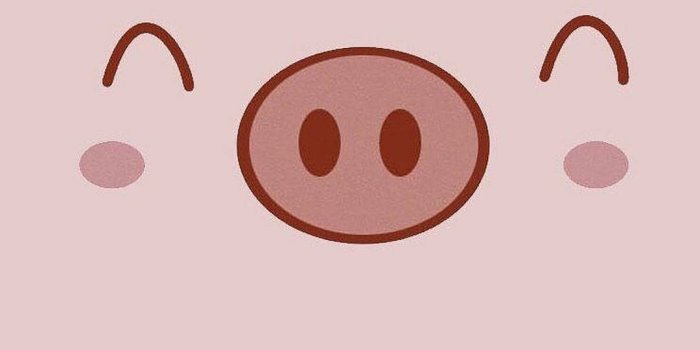 1080x1920 Download Cute Pig Smiling Wallpaper | Wallpapers.com